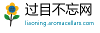 过目不忘网